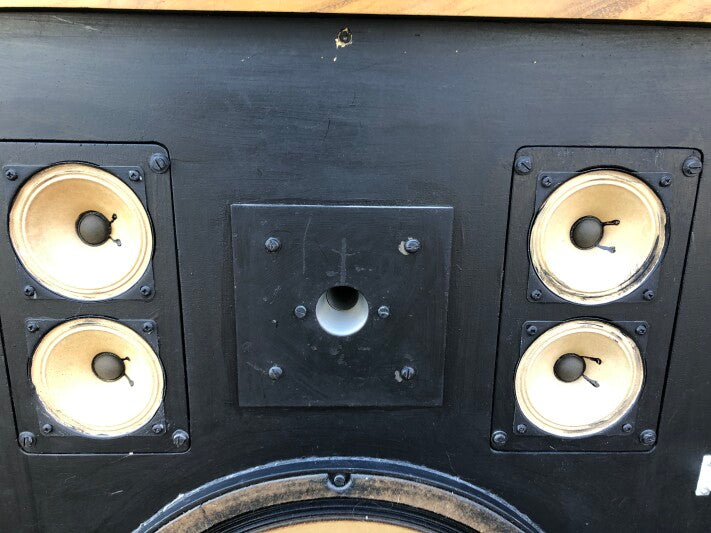 Cadac Custom Mastering Speakers