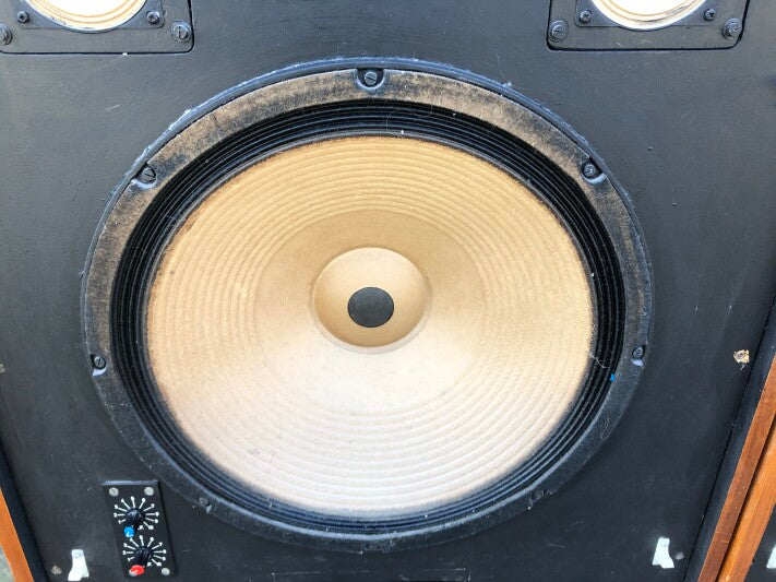 Cadac Custom Mastering Speakers