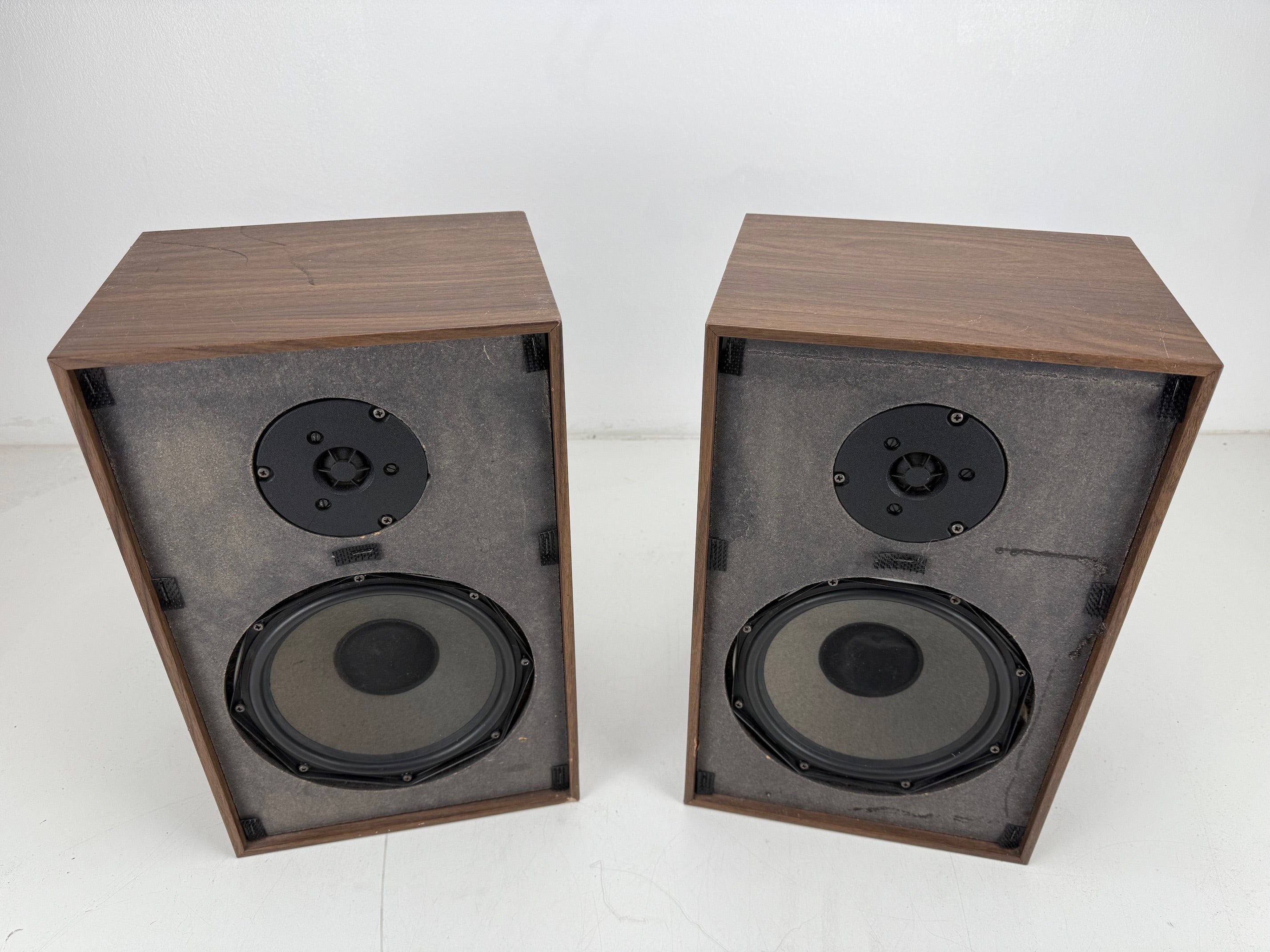Onbekende boekenplankspeakerset met Philips-componenten - volledig functioneel