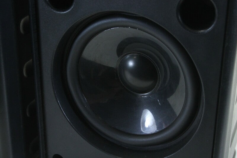 Unknown 4 Ohm Speaker Set