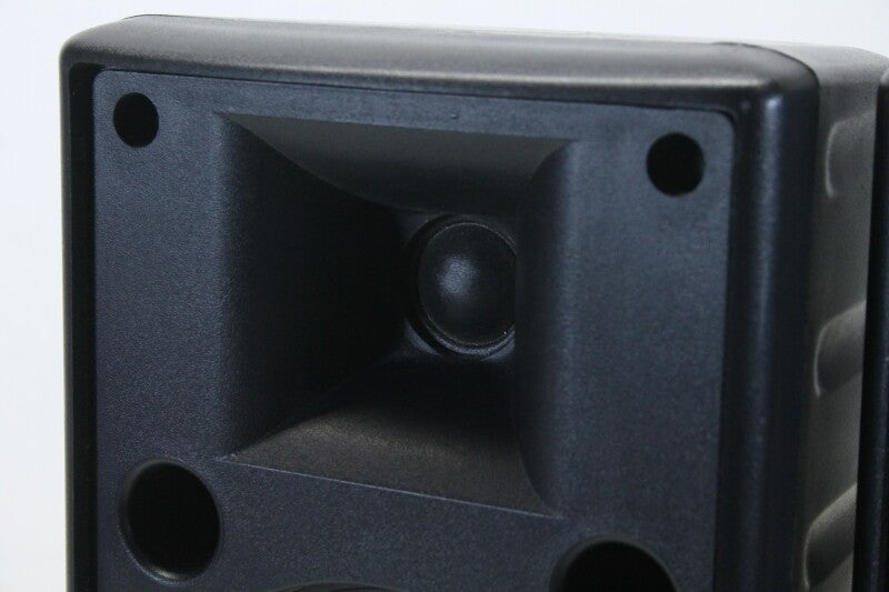 Unknown 4 Ohm Speaker Set