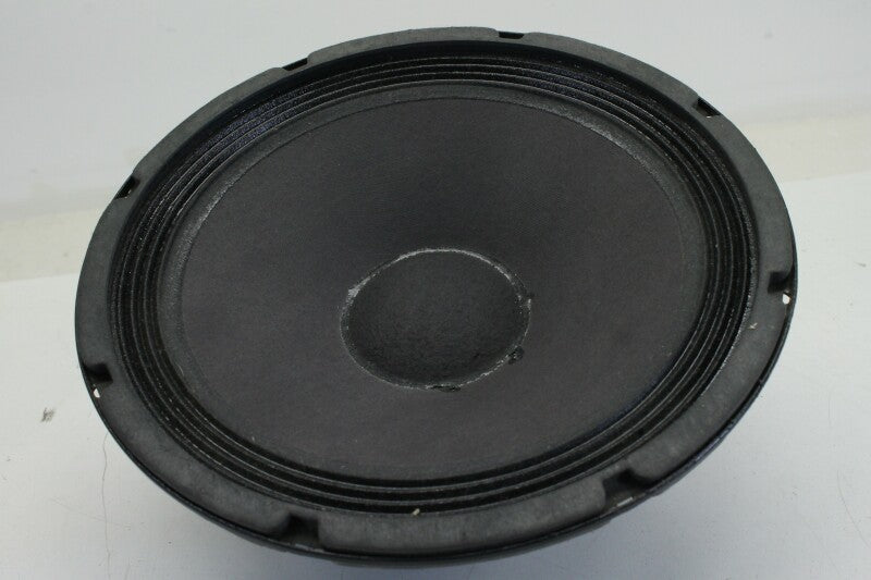 Unknown Speaker Cone - 10 inch
