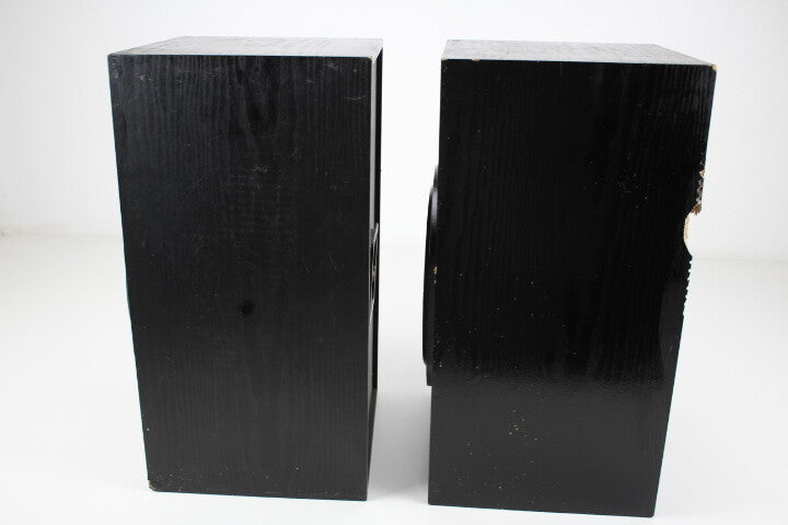B&W The Bowers & Wilkins (B&W) DM110 vintage speakers