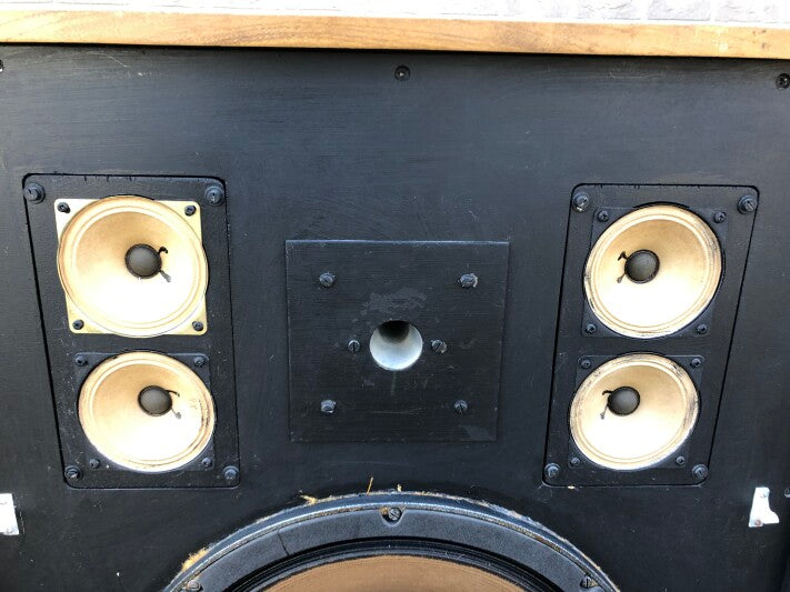 Cadac Custom Mastering Speakers