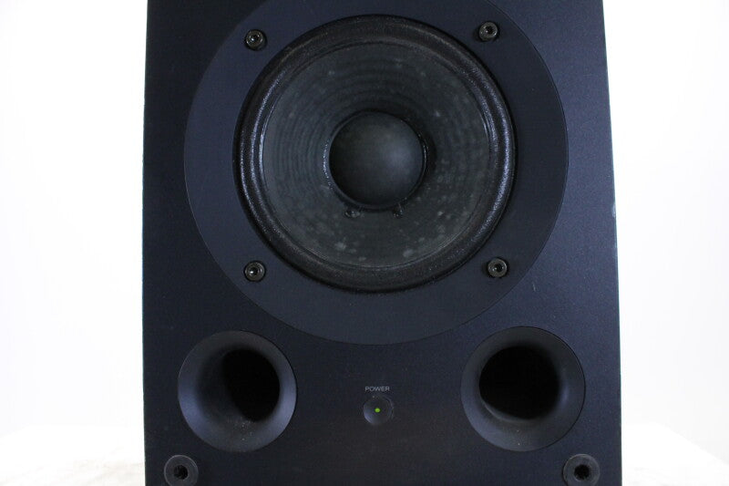 Sony SMS-2P Powered Monitor Speaker System