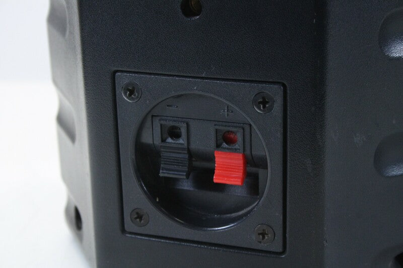 Unknown 4 Ohm Speaker Set