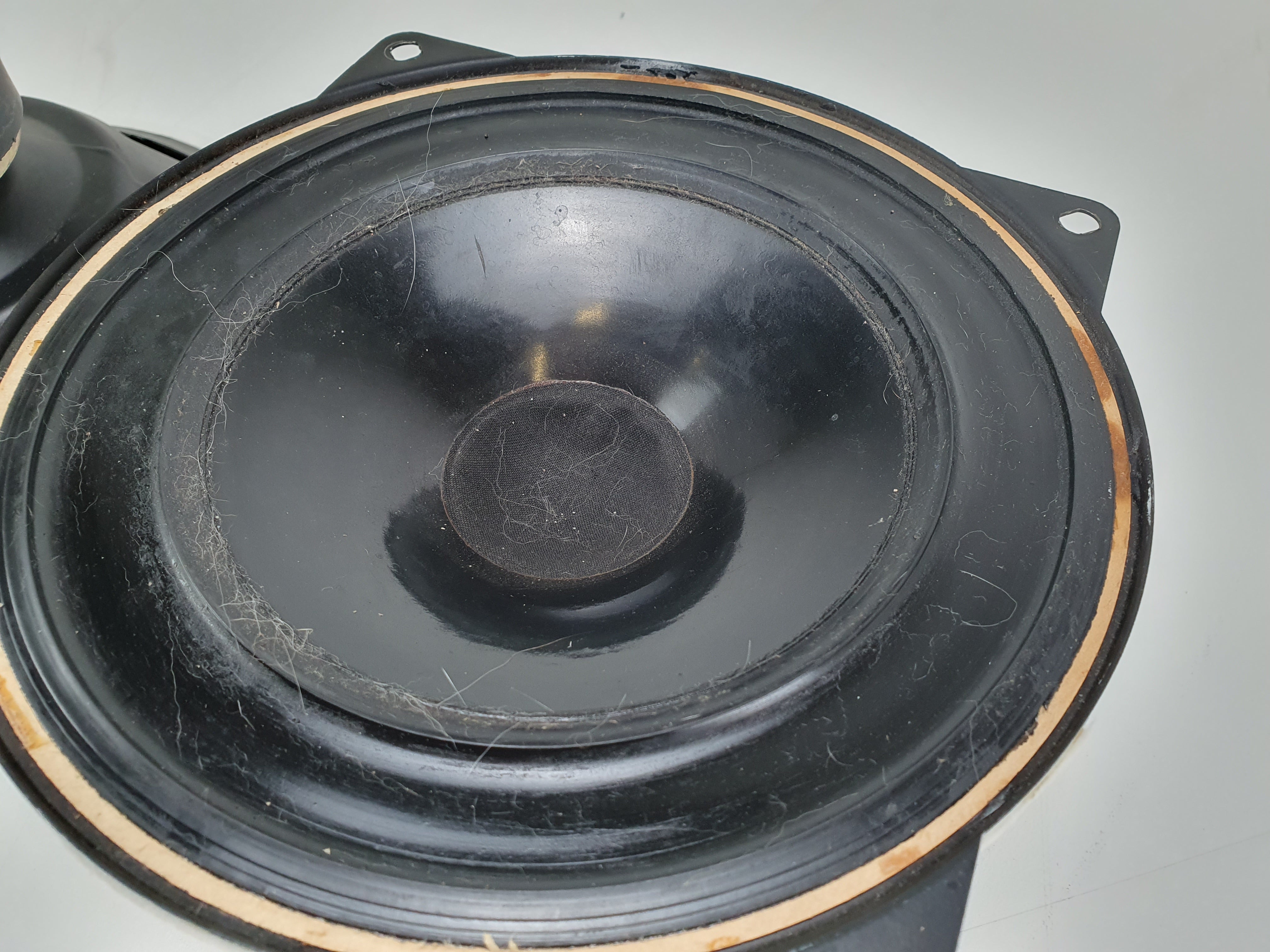 Polydax 8" vintage luidspreker - HD20 B25J - 8 Ohm - Verkocht als set van twee - Getest en werkend